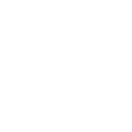 Boost Your Online Visibility Icon