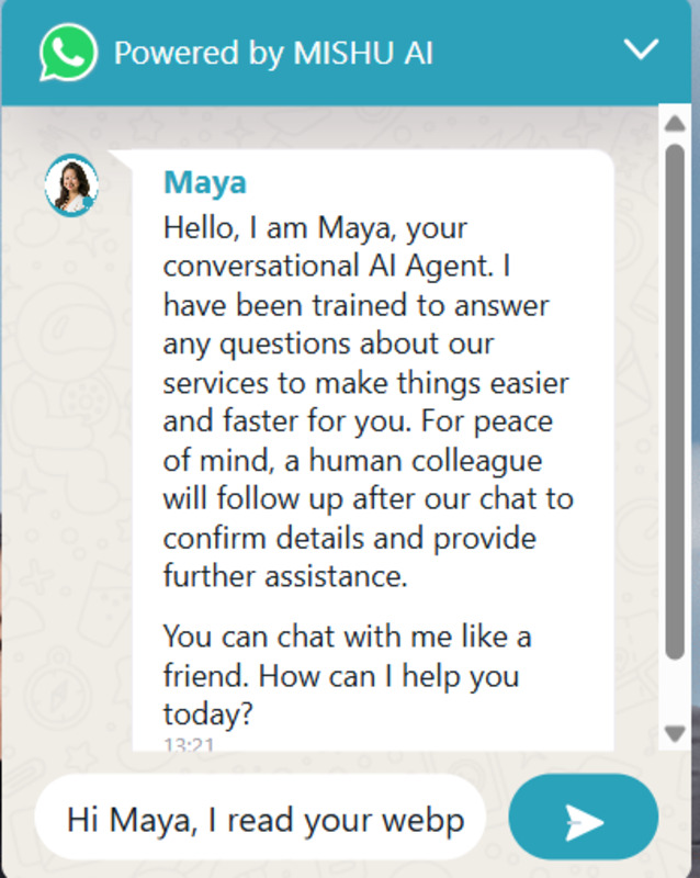 MISHU AI a B2B chatbot that able work in multiple platforms