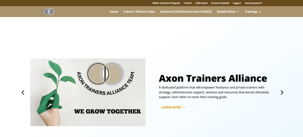 Axon Consulting