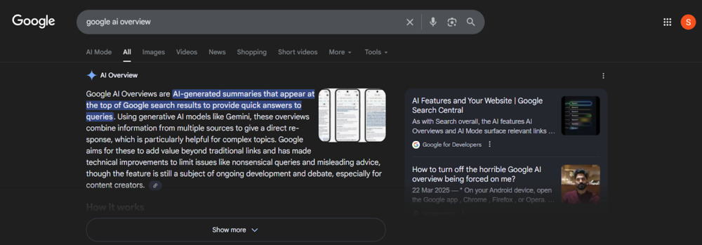 Google AI overview