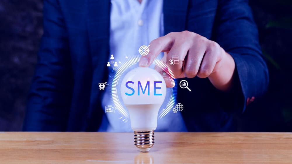 Smart Bidding and Conversion Optimisation