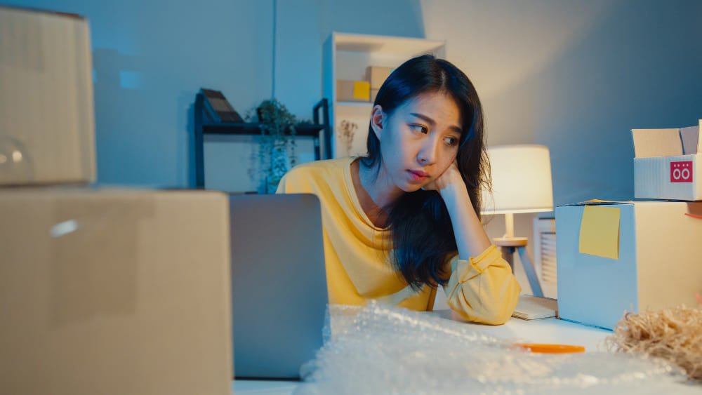 Struggles in managing Malaysian logistic website