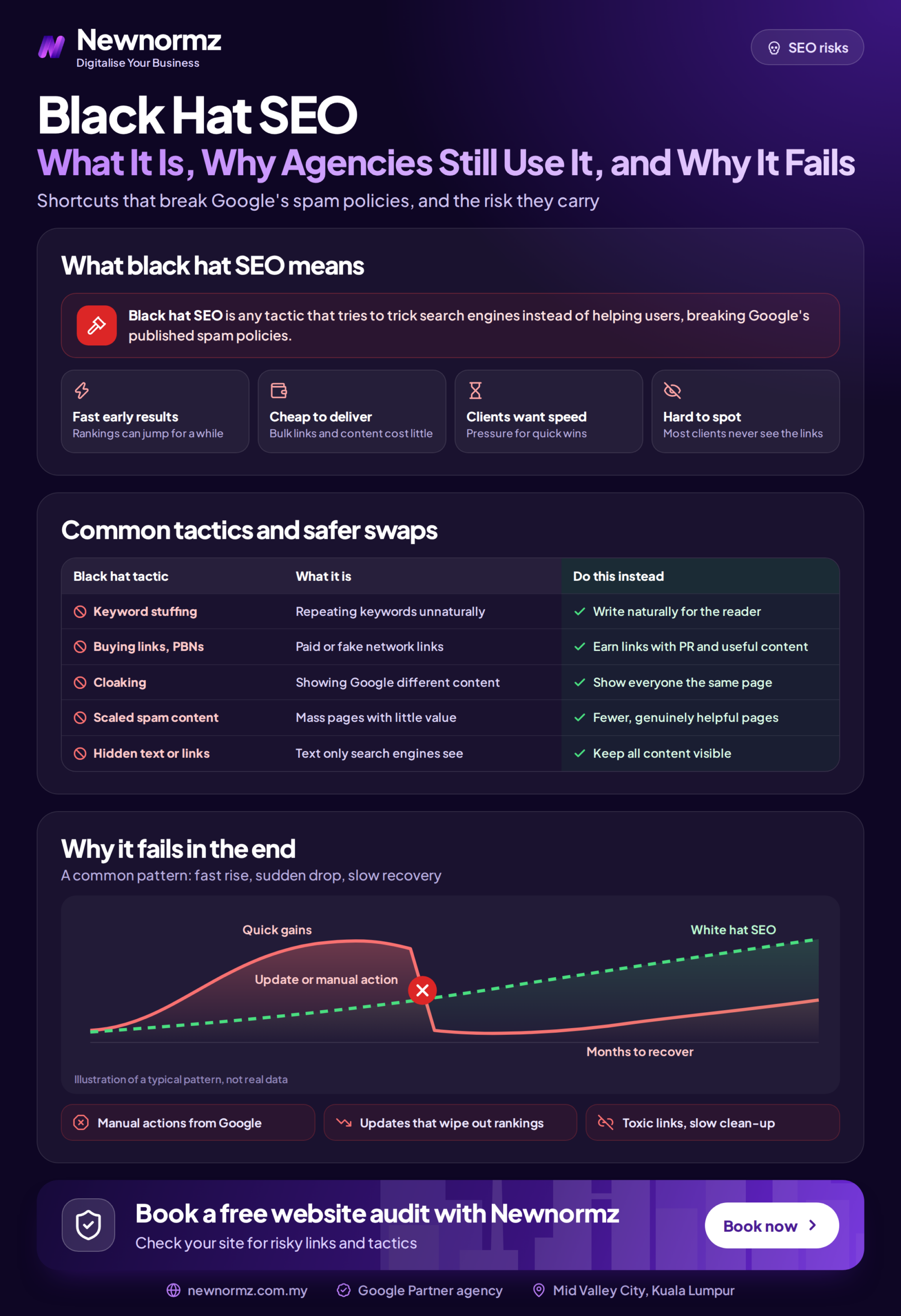 Infographic outlining common black hat SEO tactics and the risks each one creates for a website's Google rankings